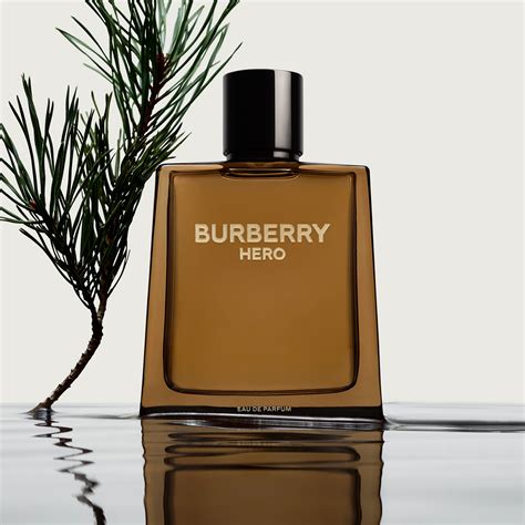 burberry for men eau de parfum|best burberry for men.